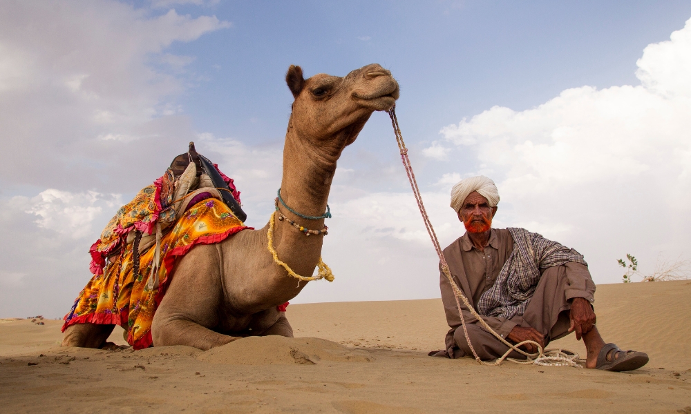 Activities to do in rajasthan